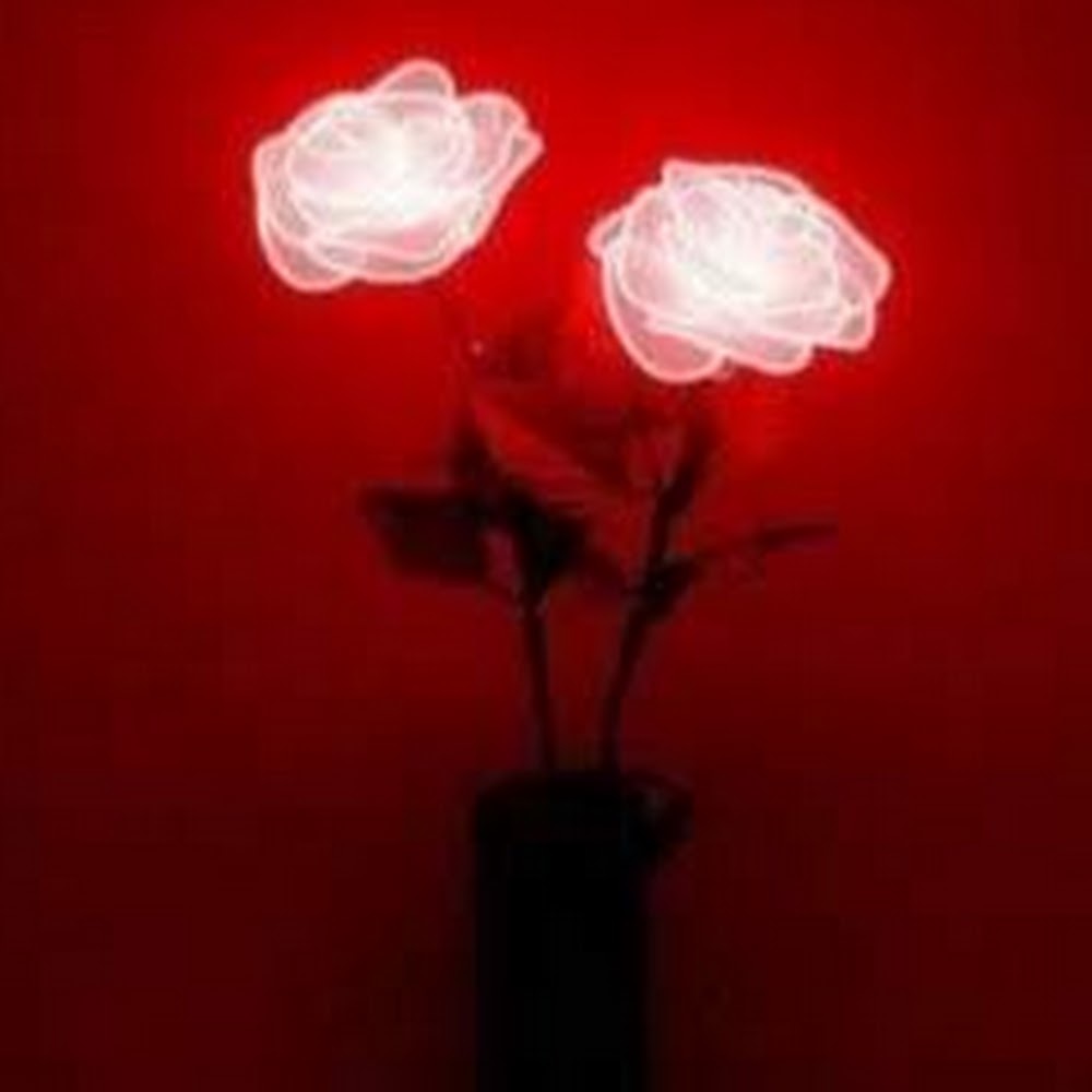 Meet your Posher, Carisma